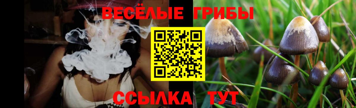 Ачинск  Галлюциногенные грибы ЛСД  Вход с VPN 